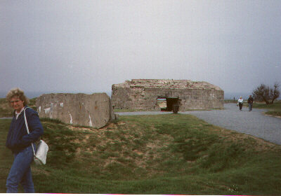 norm3.jpg (24466 bytes)