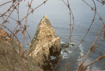 norm5.jpg (40367 bytes)