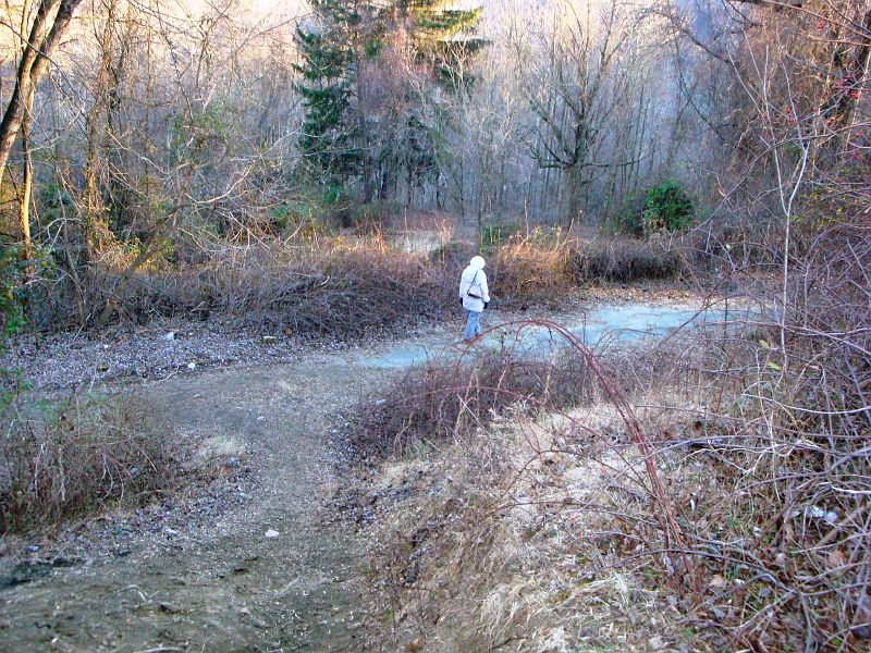 DSC01051