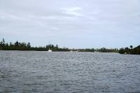 IMG_4766 