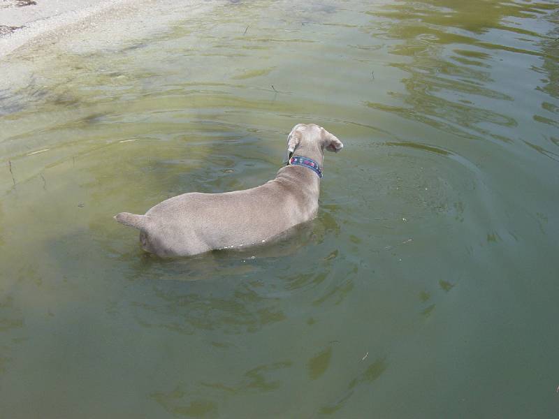 DSC04008 