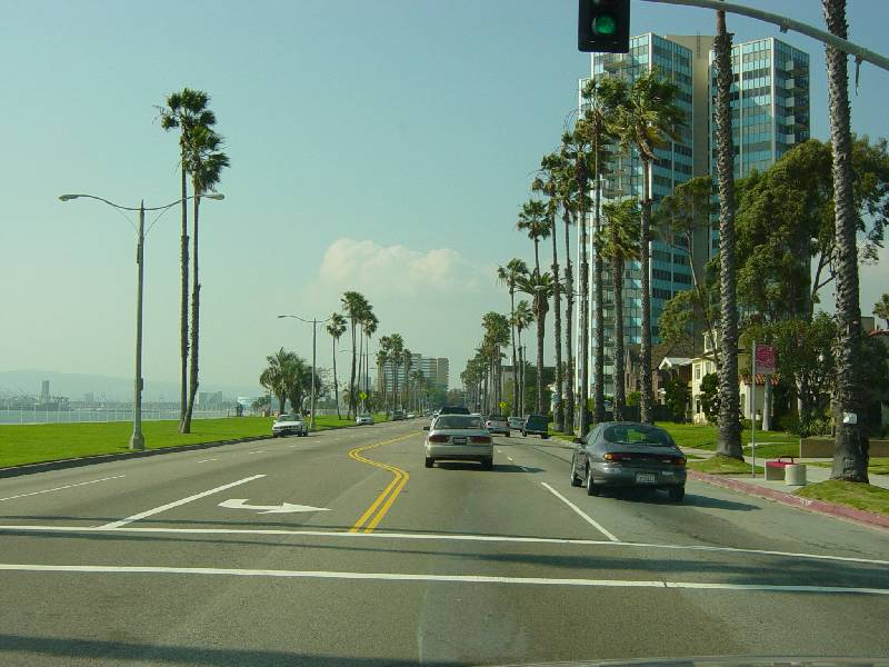 DSC03336 